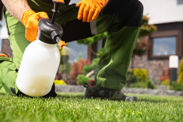 Professional Pest Control in Chattanooga Valley, GA